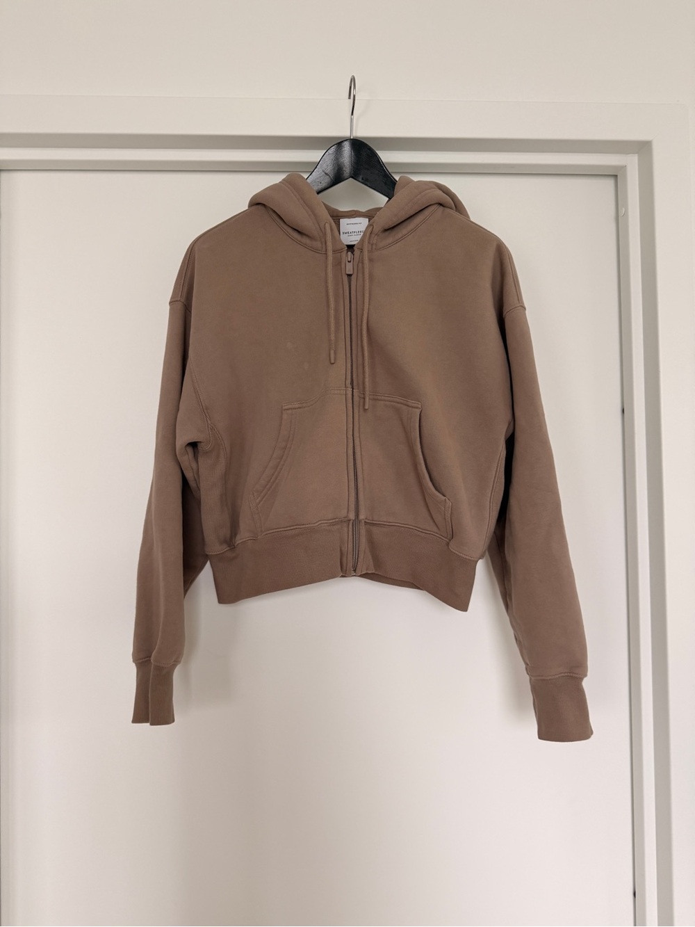 Aritzia Cozy Sweatfleece Boyfriend Boxy Zip Hoodie